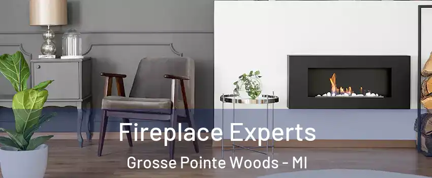  Fireplace Experts Grosse Pointe Woods - MI