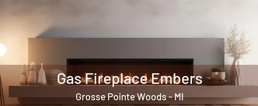  Gas Fireplace Embers Grosse Pointe Woods - MI