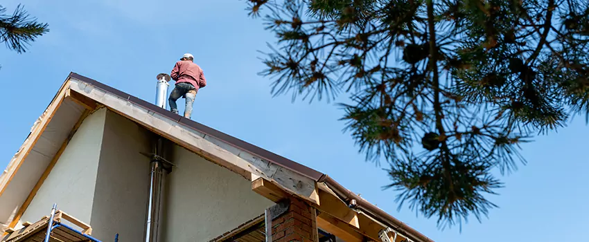 Birds Removal Contractors from Chimney in Grosse Pointe Woods, MI